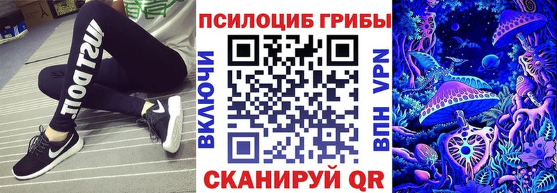 Галлюциногенные грибы прущие грибы  Купить  Медынь 